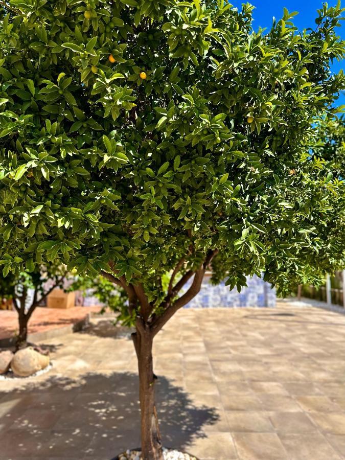 格拉纳达Libelle Andalusian Hideaway C别墅 外观 照片