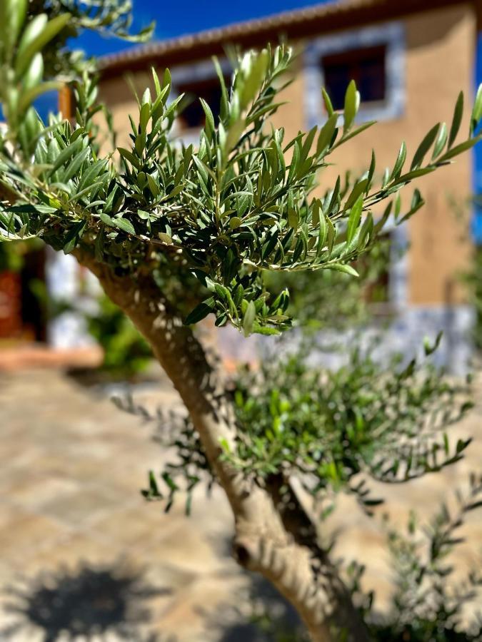 格拉纳达Libelle Andalusian Hideaway C别墅 外观 照片
